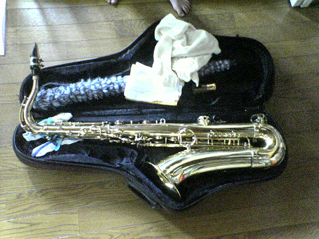 e0089438_1532558.jpg