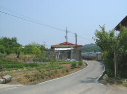 e0081339_13261282.jpg