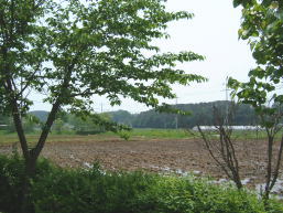 e0081339_13264067.jpg