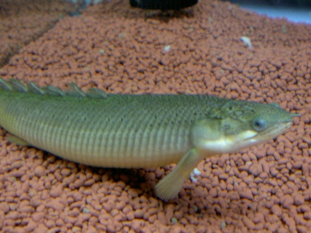 f0168539_684913.jpg