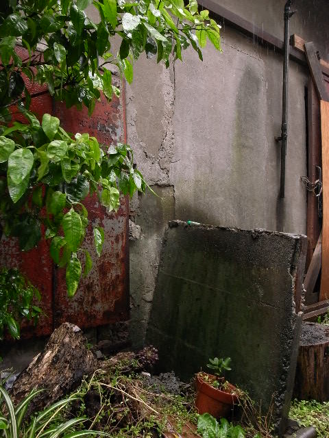 a0087341_23182633.jpg