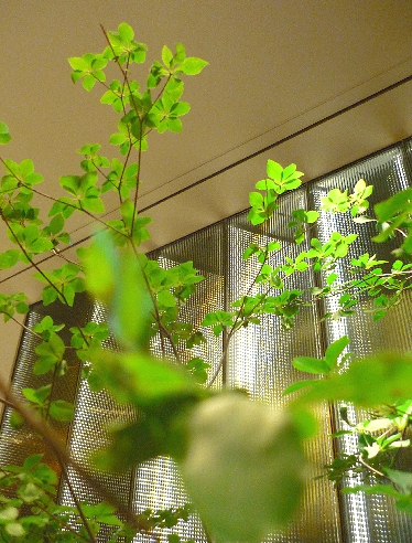 b0152442_155730.jpg