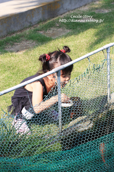 a0076043_1221482.jpg
