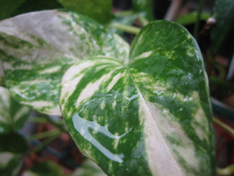 e0018143_16213380.jpg
