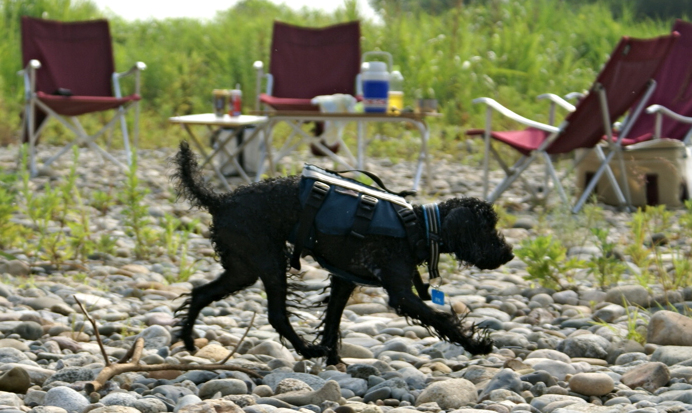 f0018144_14144462.jpg