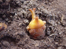 d0129745_17491510.jpg