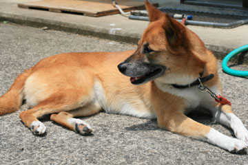 a0054948_22495991.jpg