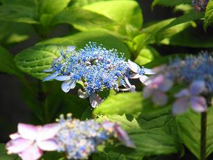 c0145250_1014736.jpg