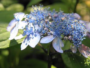 c0145250_947531.jpg