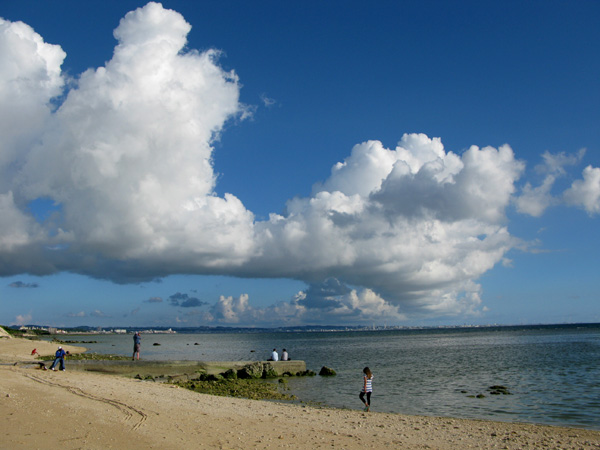 b0049152_11145841.jpg