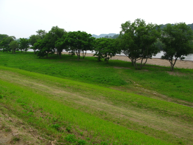 e0070552_162357.jpg