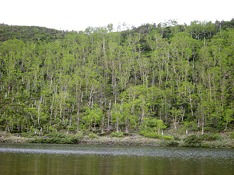 a0001354_230153.jpg