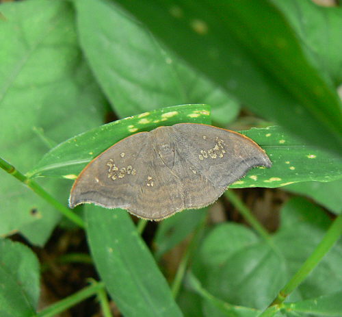 d0091754_5211750.jpg
