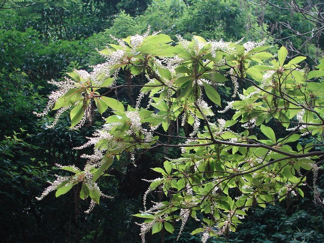 b0061261_2123146.jpg