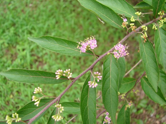 b0061261_2145382.jpg