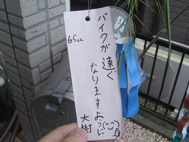 b0024266_8365941.jpg