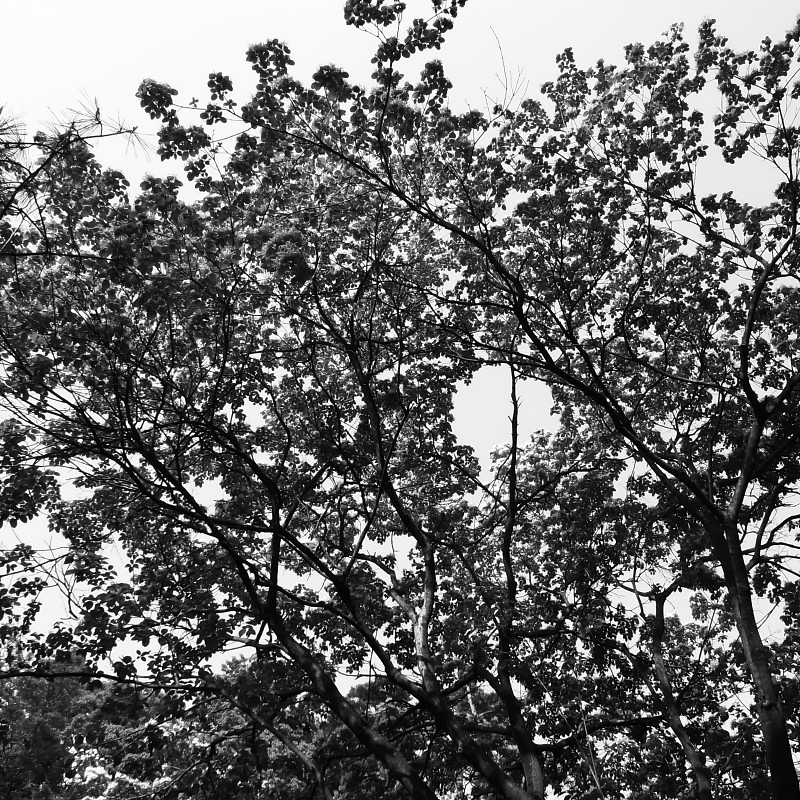 c0084666_7193498.jpg