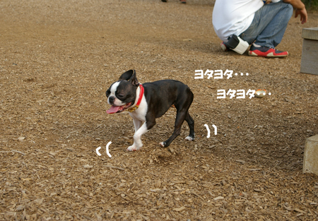 c0032567_13485619.jpg