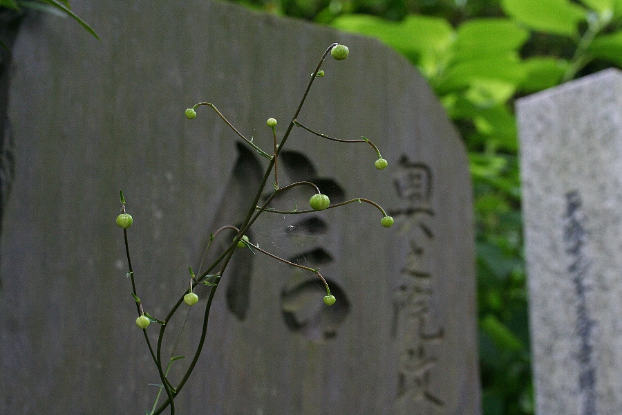 b0084270_22125269.jpg