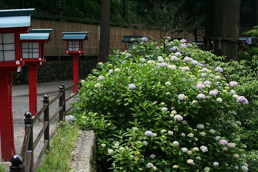 b0084270_2216253.jpg