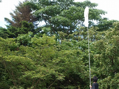 b0135573_21285687.jpg