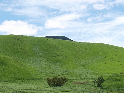 b0135573_21311994.jpg