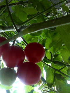 f0140174_14144810.jpg
