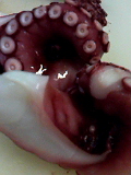 f0140174_1420158.jpg