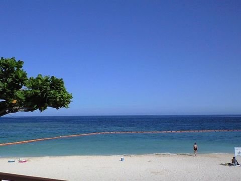 c0139375_145254100.jpg