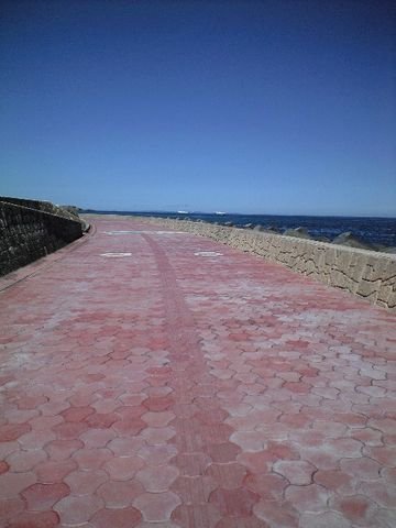 c0139375_14545738.jpg