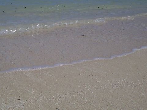 c0139375_14553728.jpg