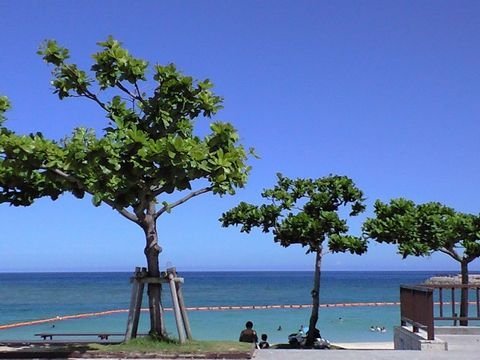 c0139375_14562058.jpg