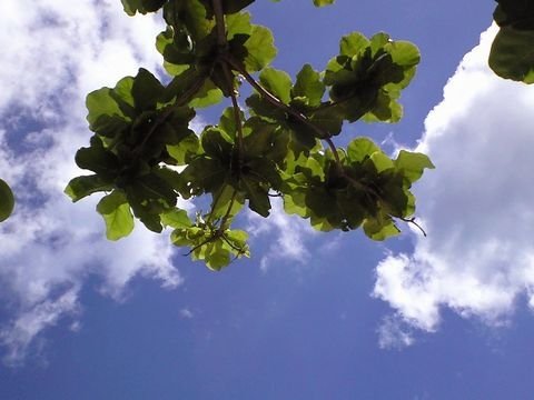 c0139375_14565240.jpg