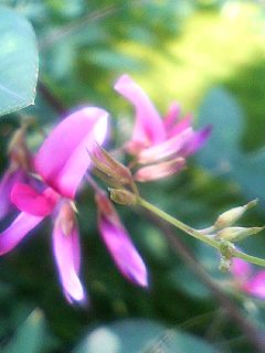 f0054677_710117.jpg