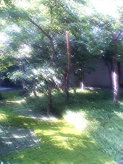 f0054677_791572.jpg