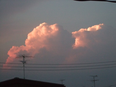 c0078480_019953.jpg