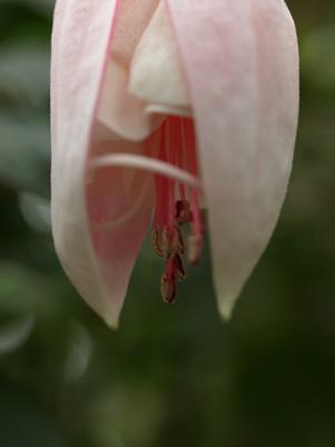 c0046587_23343141.jpg