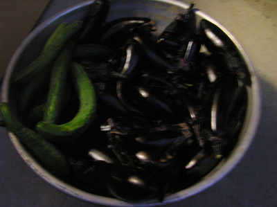 f0104487_16511462.jpg