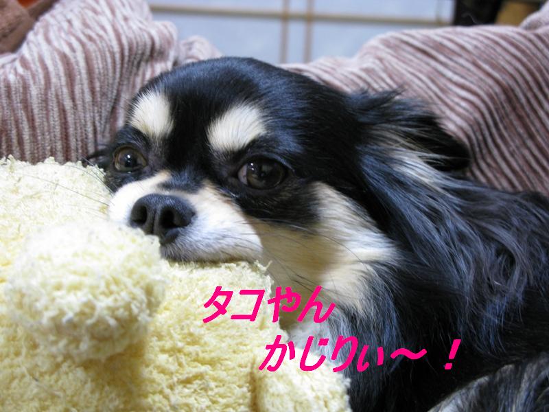 b0150088_1285100.jpg