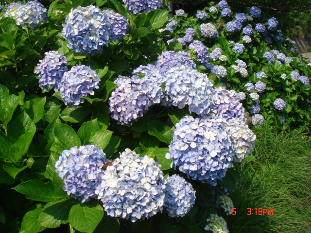 c0133096_17561987.jpg