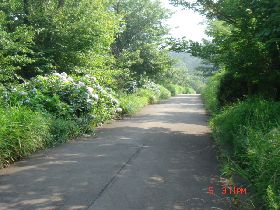 c0133096_17593530.jpg