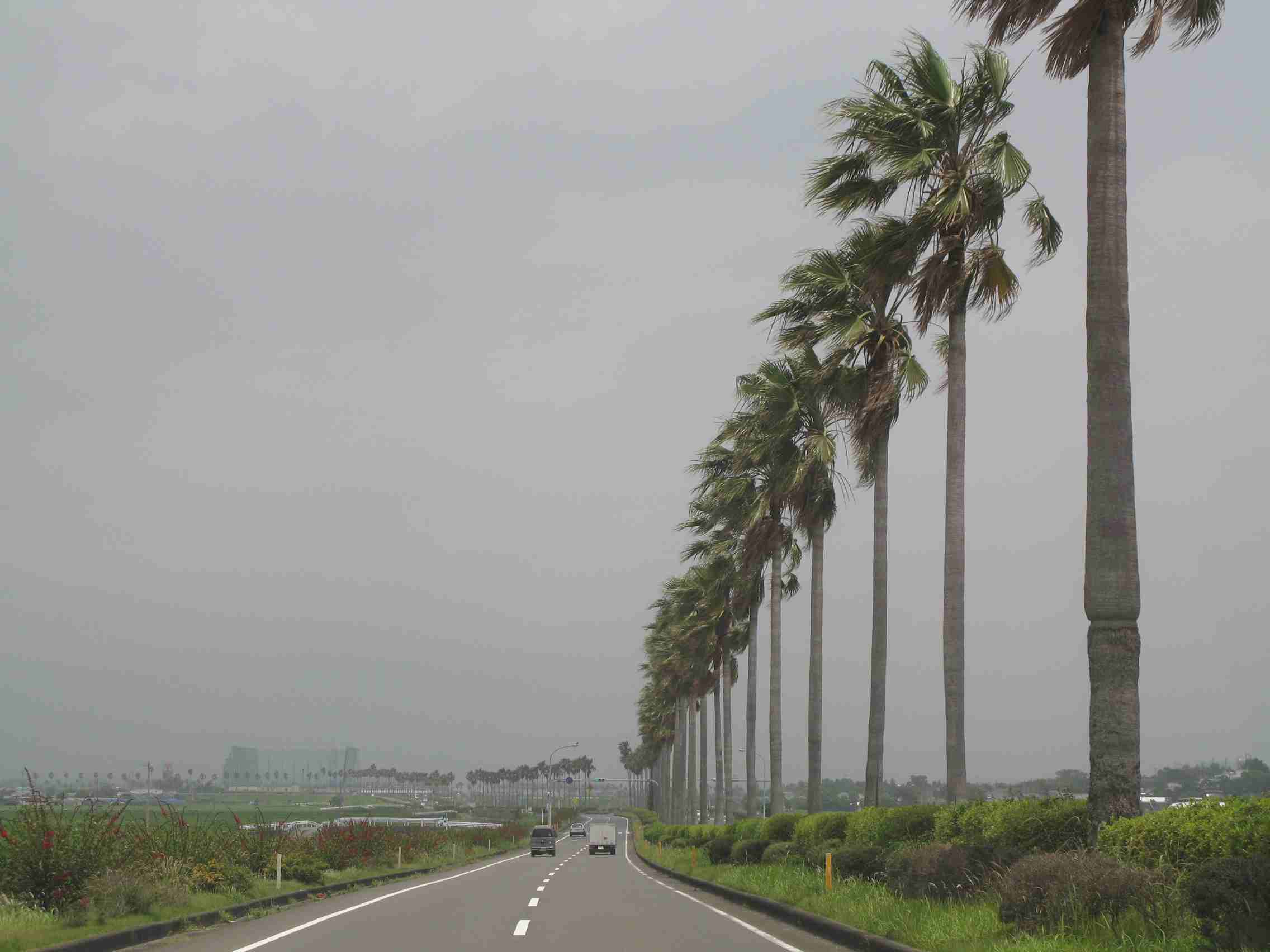 f0129897_19502686.jpg
