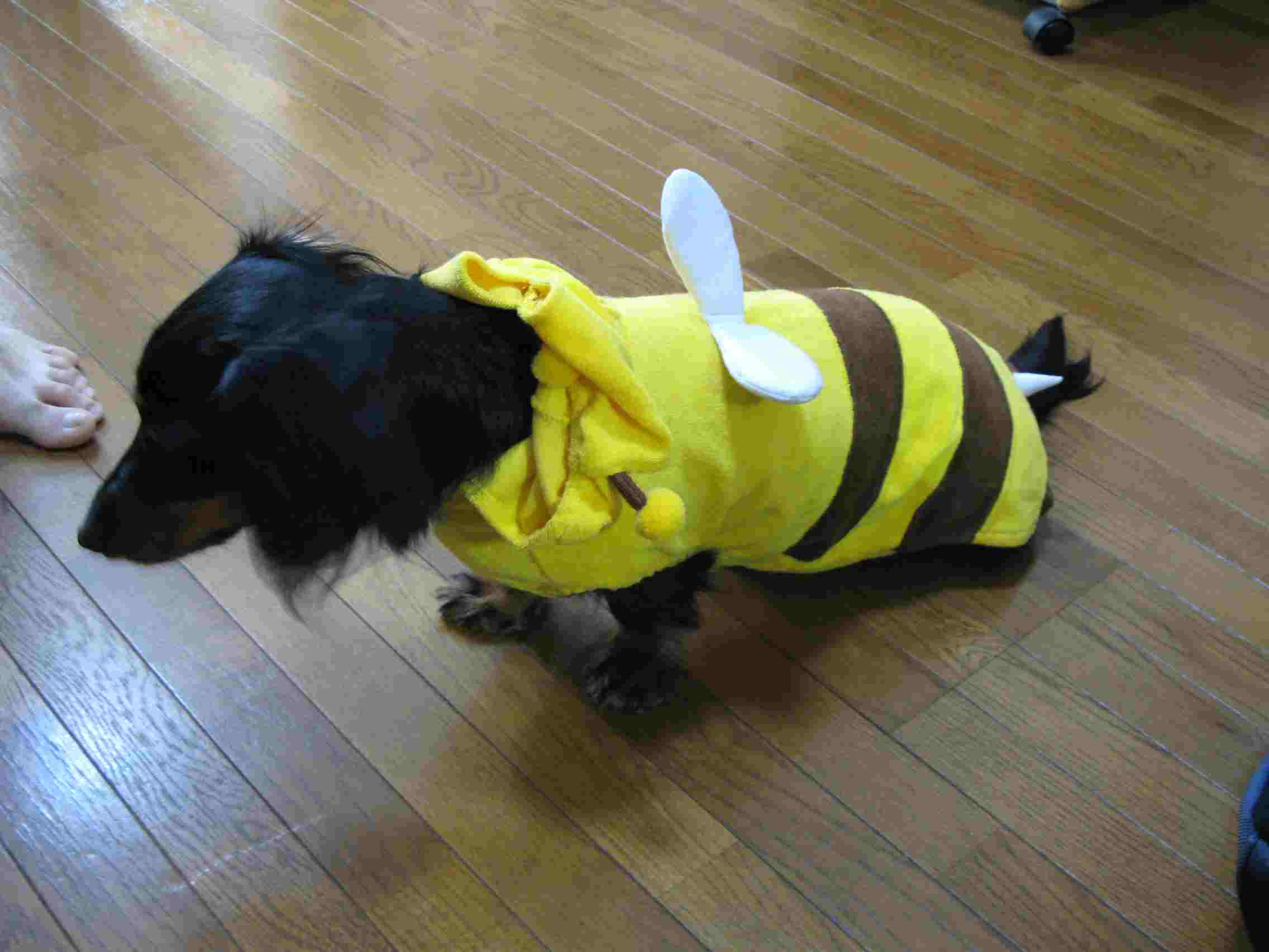 f0129897_20335538.jpg