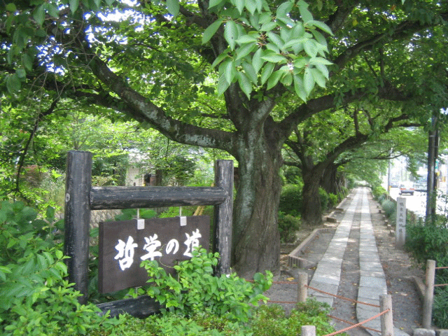 b0108100_22185332.gif