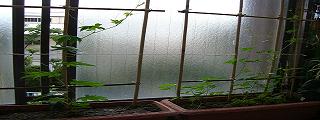 e0119003_14531420.jpg