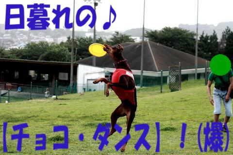 e0100007_22325421.jpg