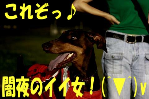 e0100007_2234337.jpg