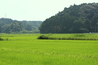 f0176108_6315471.jpg