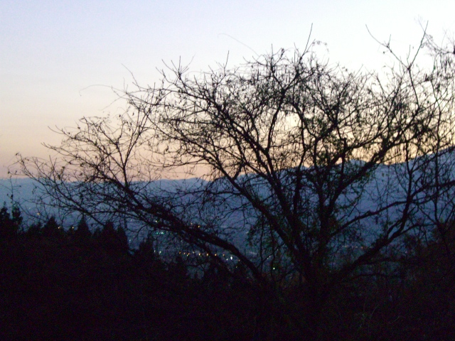 b0143709_2214652.jpg