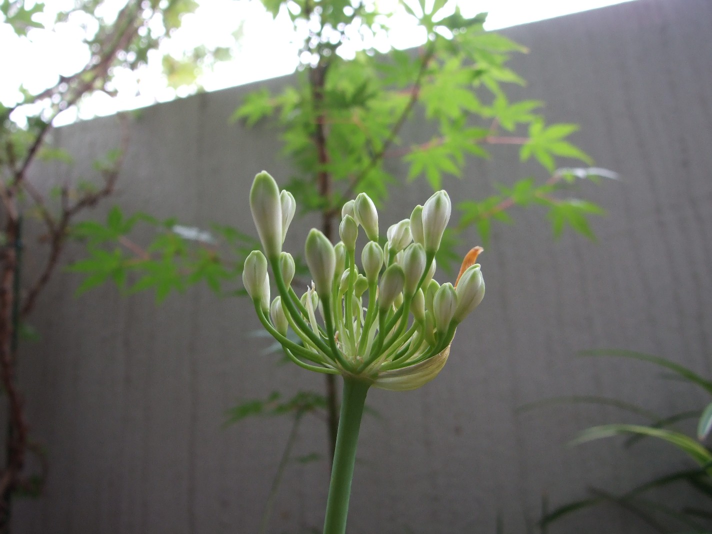 b0061010_20272088.jpg